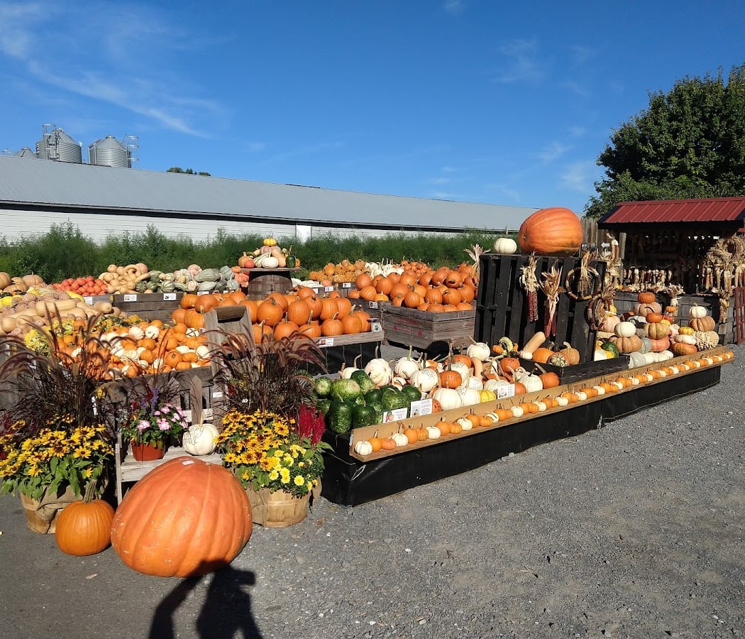 Brecknock Orchard 4